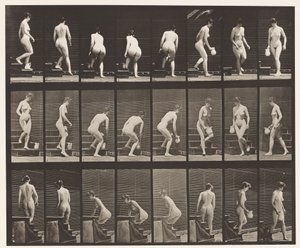 Descending Stairs; Stooping, Lifting Pitcher, Turning by Eadweard Muybridge