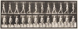 Walking by Eadweard Muybridge