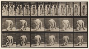 Plate 184. Walking on Hands and Feet by Eadweard Muybridge