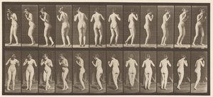 Plate 195. Dancing Waltz