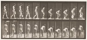 Plate 202. Dropping and Lifting a Handkerchief