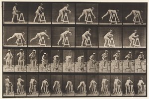 Plate 203. Bending Over a Trestle with Water Jar by Eadweard Muybridge