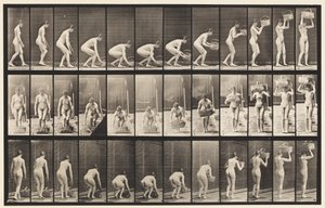 Plate 221. Stooping and Lifting 12 lb Basket to Head
