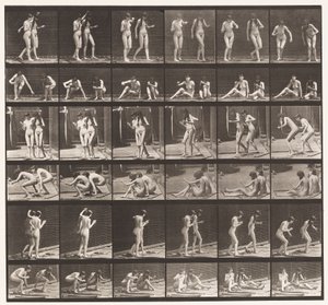 Plate 245. Two Models Turning Around Sitting on the Ground by Eadweard Muybridge