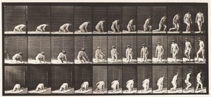 Plate 255. Arising from Kneeling and Turning