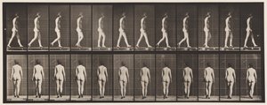 Plate 25. Walking, With High-Heeled Shoes On