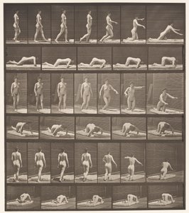 Plate 272. Stumbling and Falling on the Ground by Eadweard Muybridge