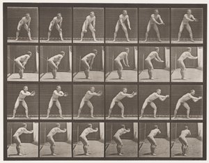 Plate 280. Baseball; Catching by Eadweard Muybridge