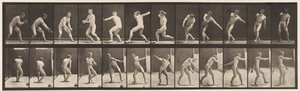Base-ball; Catching and Throwing by Eadweard Muybridge