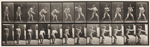 Plate 285. Base-ball; Catching and Throwing by Eadweard Muybridge