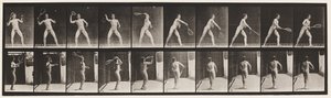 Plate 294. Lawn Tennis; Serving by Eadweard Muybridge