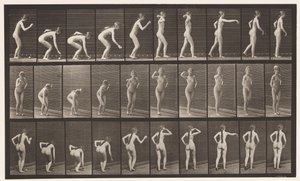Plate 304. Picking Up a Ball and Throwing It