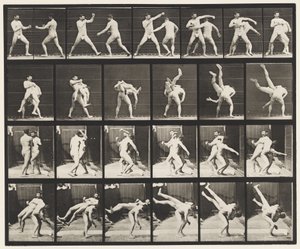 Plate 332. Boxing; Cross-Buttocks by Eadweard Muybridge