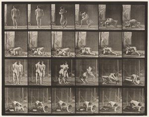 Plate 346. Wrestling, Lock by Eadweard Muybridge