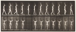 Plate 34. Walking by Eadweard Muybridge