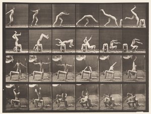 Plate 364. Hand-spring over Man