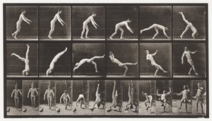 Headspring, A Flying Pigeon Interfering by Eadweard Muybridge