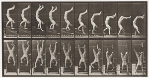 Acrobat, Descending Stairs on Hands