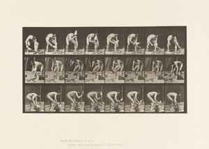 Plate 381. Mason, Laying a Brick by Eadweard Muybridge