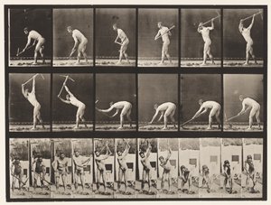 Farmer, Using a Pick by Eadweard Muybridge