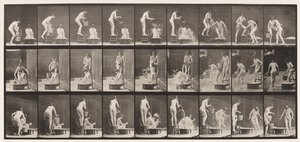 Plate 408. Two Models
