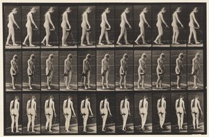 Plate 42. Walking, Pouring Water from Pitcher by Eadweard Muybridge