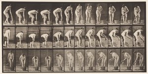 Wringing Clothes by Eadweard Muybridge