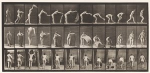 Spreading A Rug on the Floor, 1872-1885 by Eadweard Muybridge