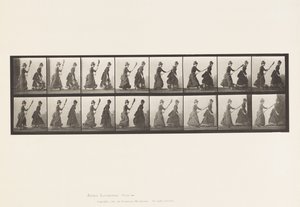 Two Models, 16 Chasing 4 with a Broom