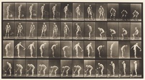 Plate 490. Sitting Down; Sprinkling Water by Eadweard Muybridge