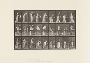 Plate 496. Miscellaneous Phases of the Toilet, 1885 by Eadweard Muybridge