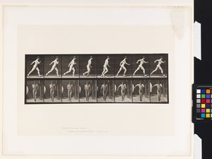 Plate 4. Walking by Eadweard Muybridge
