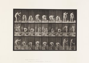 Plate 505. Bricklaying by Eadweard Muybridge