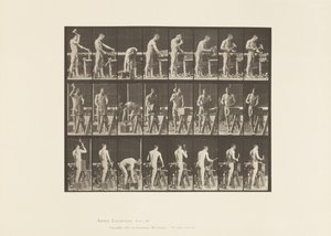Carpentering