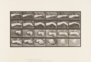 Movement of the Hand; Drawing a Circle