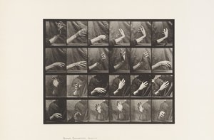 Movement of the Hand; Beating Time
