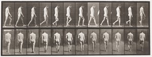 Epilepsy; Walking