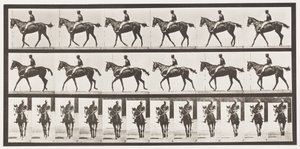 Walking; Saddle; Thoroughbred Bay Mare Annie G. by Eadweard Muybridge