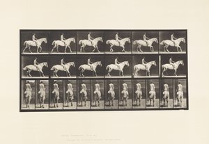 Walking; Saddle; Rider, 43, Nude; Light-Gray Horse Smith (Plate 582) by Eadweard Muybridge
