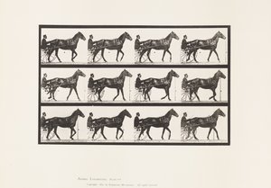 Walking; Sulky; Bay Horse Reuben, 1885 by Eadweard Muybridge