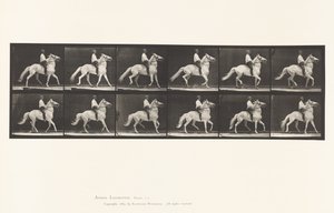 Ambling by Eadweard Muybridge
