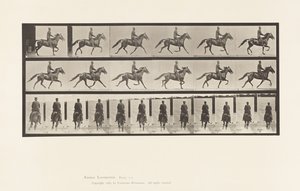 Rocking (Pacing): Saddle; Brown Horse Pronto (Plate 592) by Eadweard Muybridge