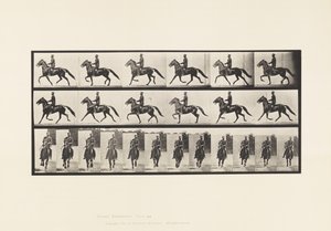 Rocking (Pacing): Saddle; Brown Horse Pronto (Plate 593)