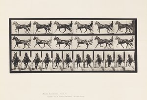 Plate 595. Rocking (Pacing): Sulky; Brown Horse Pronto by Eadweard Muybridge