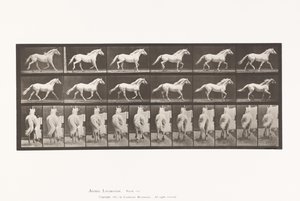 Trotting; Free; Light-Gray Horse Eagle (Plate 596) by Eadweard Muybridge