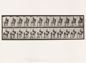 Trotting; Bareback; Dark-Gray Dusel (Plate 599) by Eadweard Muybridge
