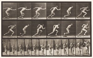 Plate 59. Starting for a Run by Eadweard Muybridge