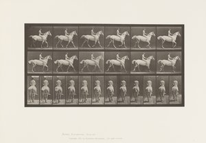 Trotting; Bareback; Rider, Nude; Light-Gray Horse (Plate 602) by Eadweard Muybridge