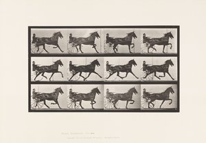 Trotting; Sulky; Bay Horse, Reuben (Plate 606) by Eadweard Muybridge