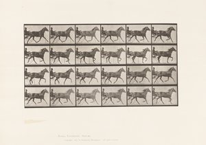 Plate 607. Trotting; Sulky; Bay Mare, Lizzie M. by Eadweard Muybridge